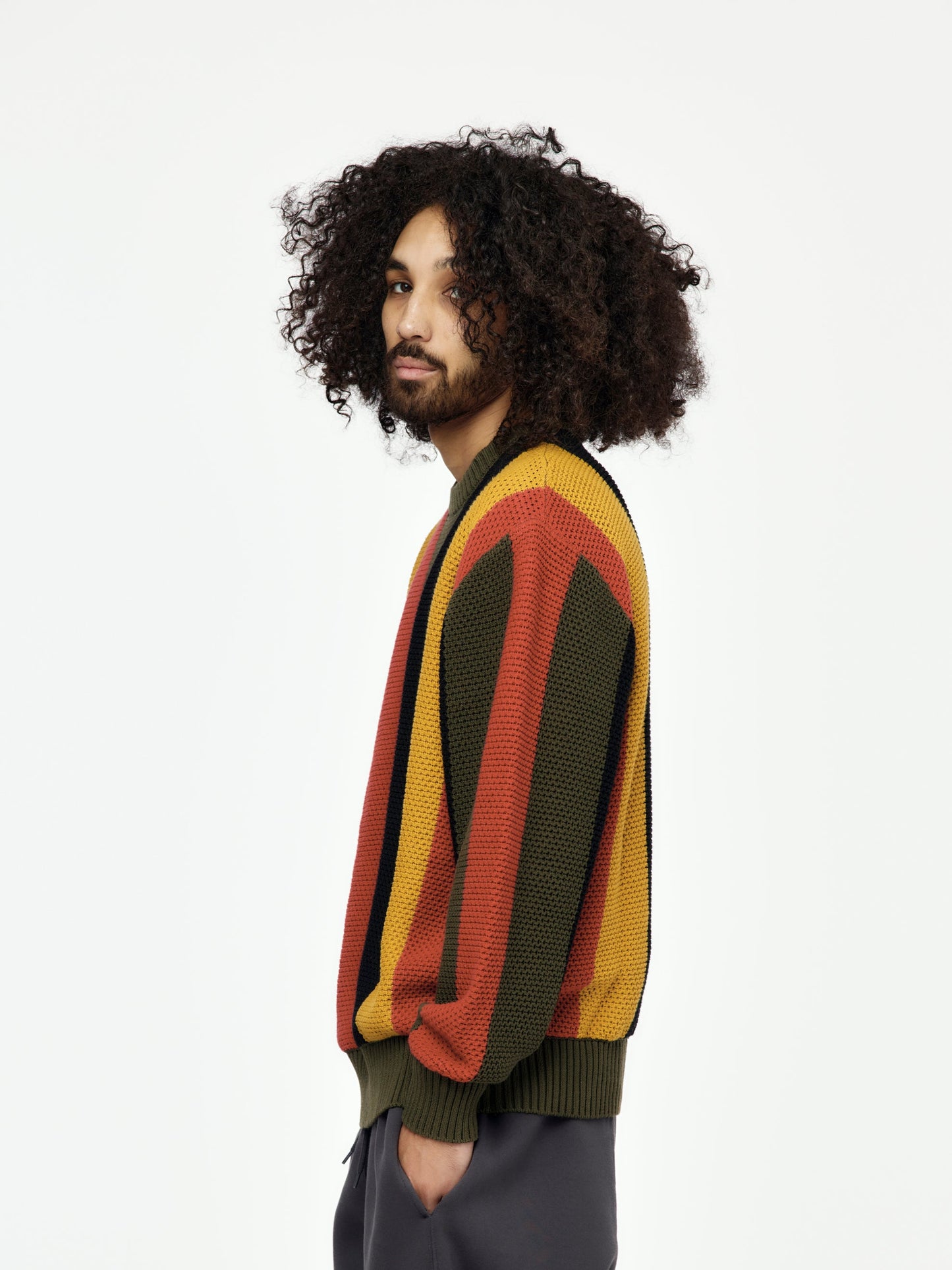 Striped Honeycomb Knitted Sweater (Multi)