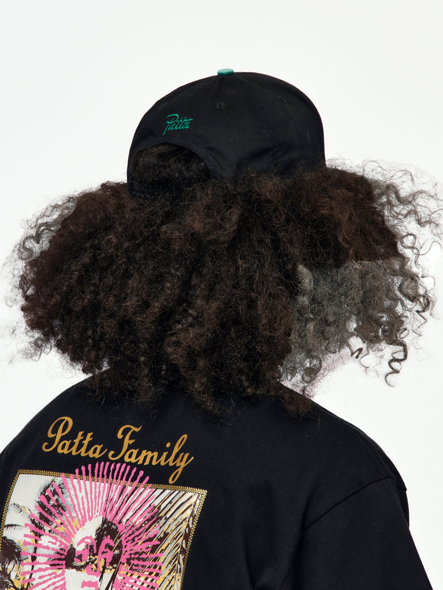 Arc Logo Snapback Cap (Black)