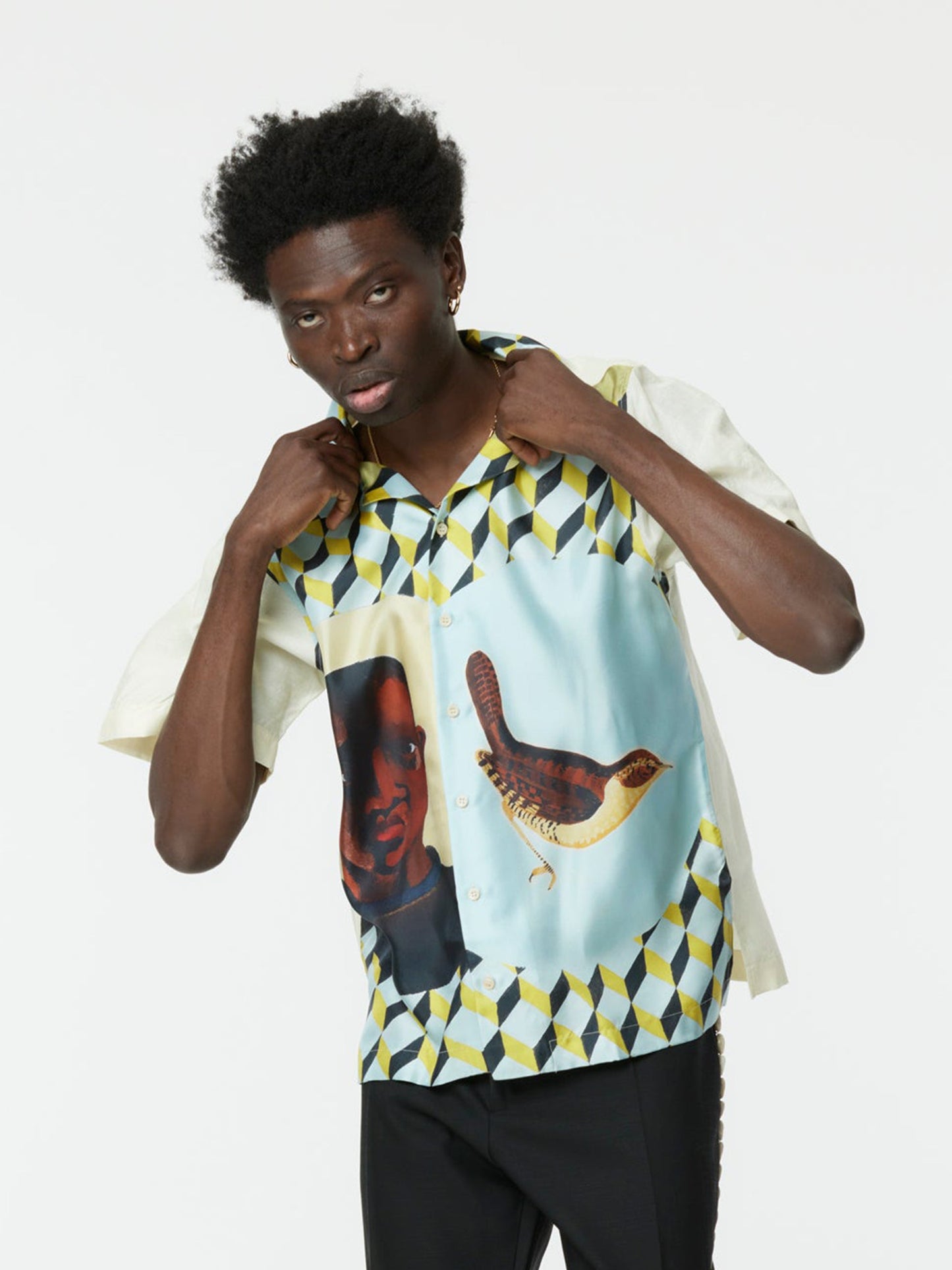 BIRDSONG SHIRT