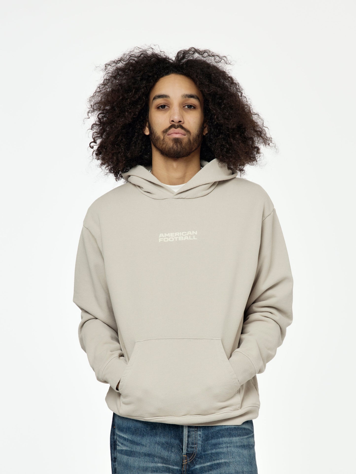 Big Icon Hoodie (Gray)
