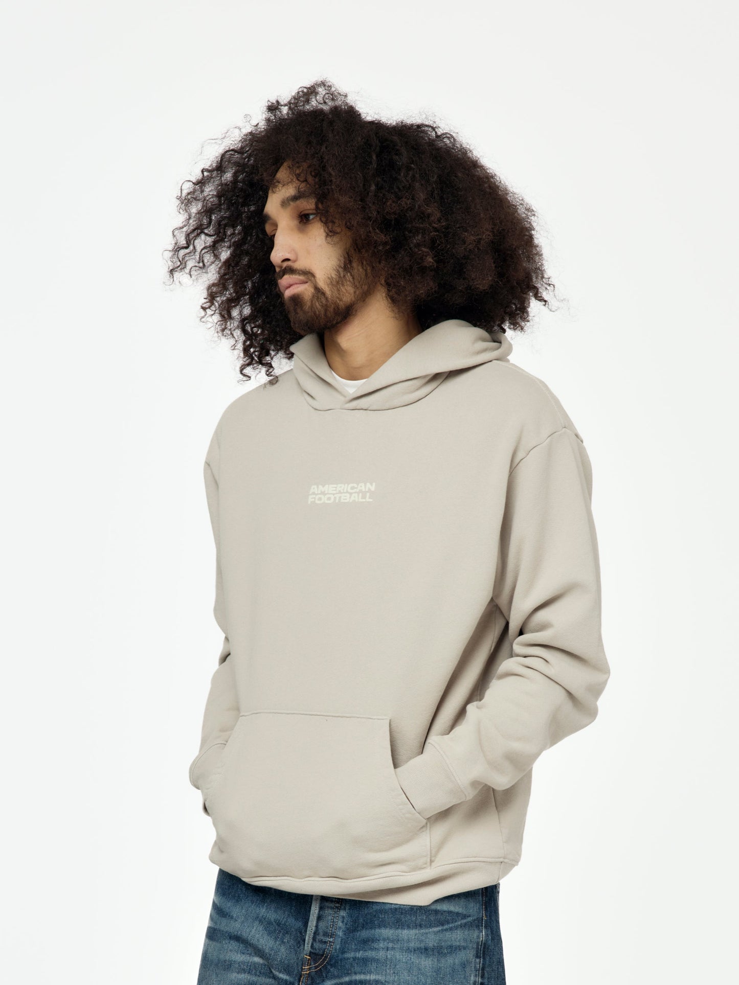 Big Icon Hoodie (Gray)
