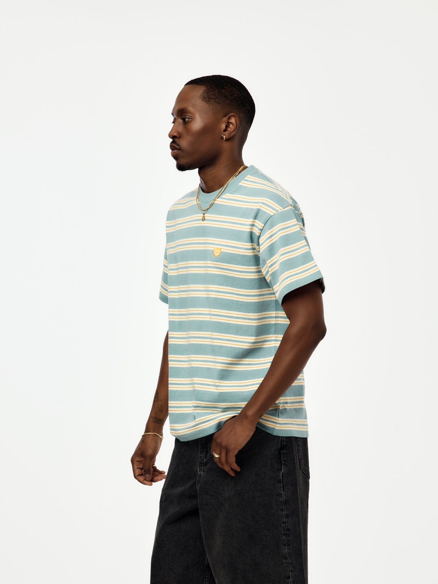 STRIPED T-SHIRT HM31CS022 (BLUE)