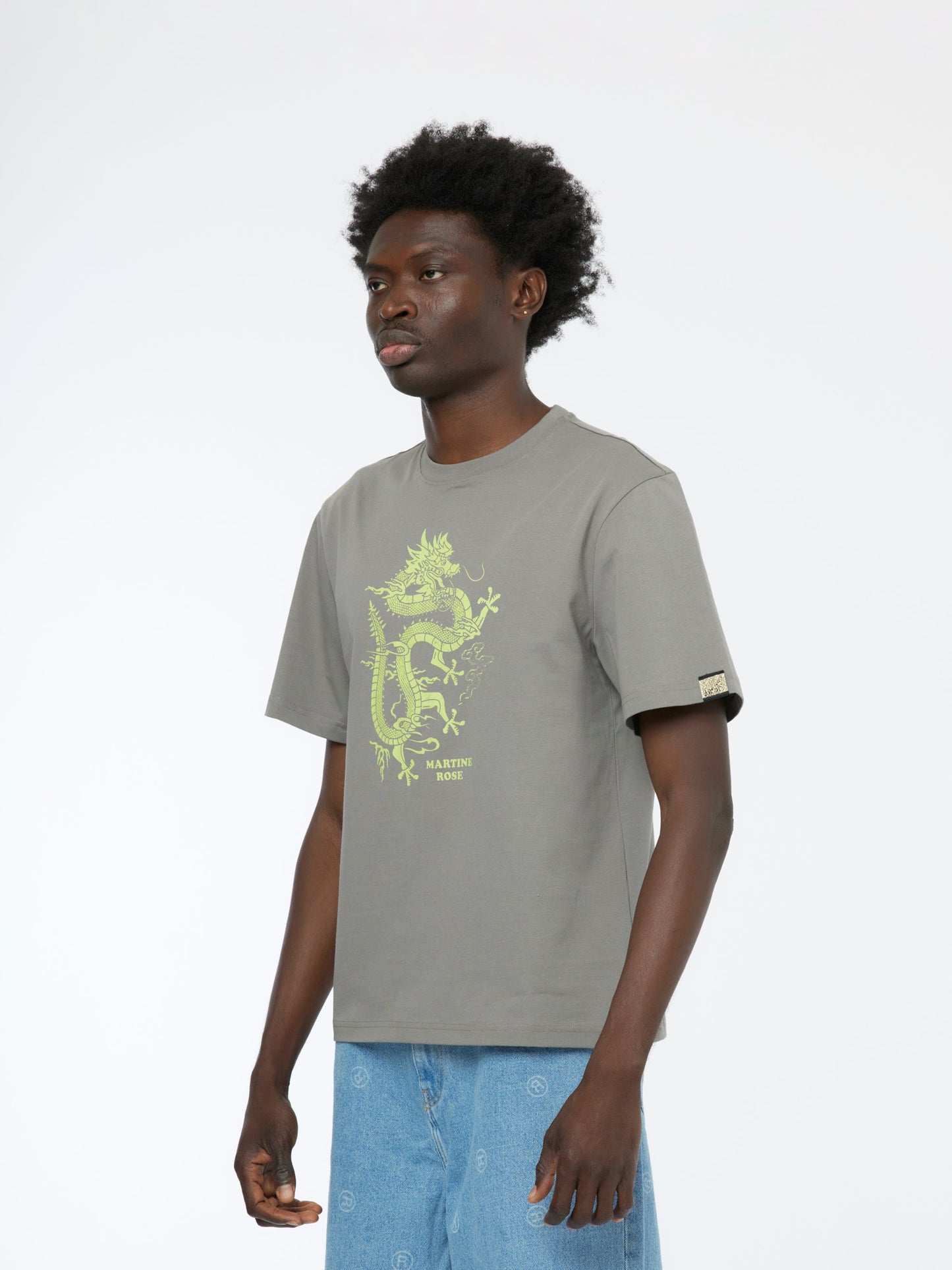 Dragon Classic T-Shirt (Grey)