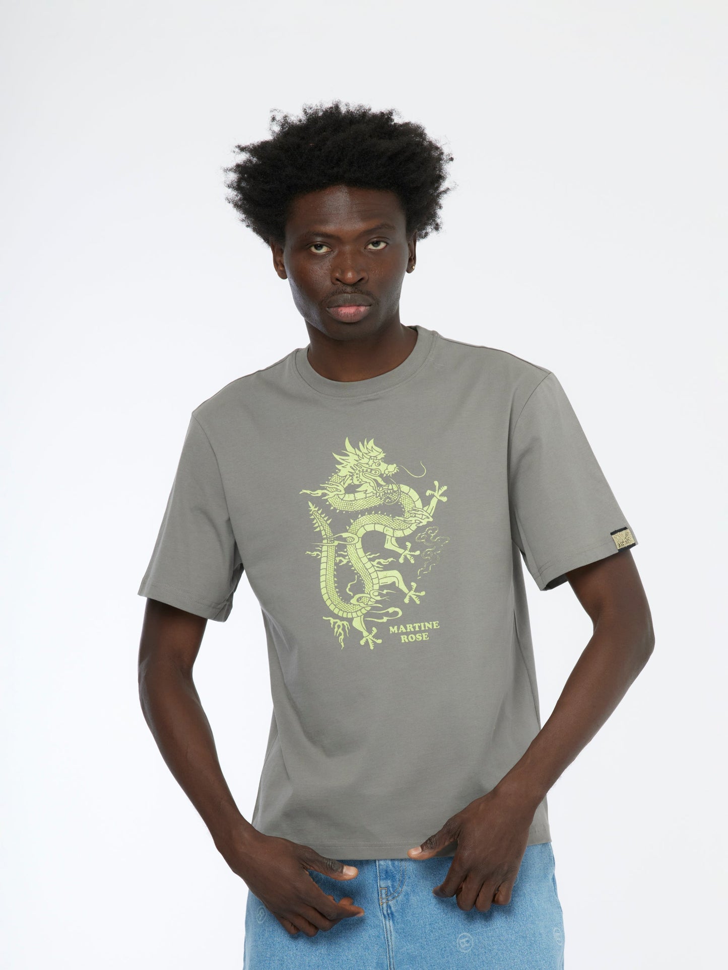 Dragon Classic T-Shirt (Grey)