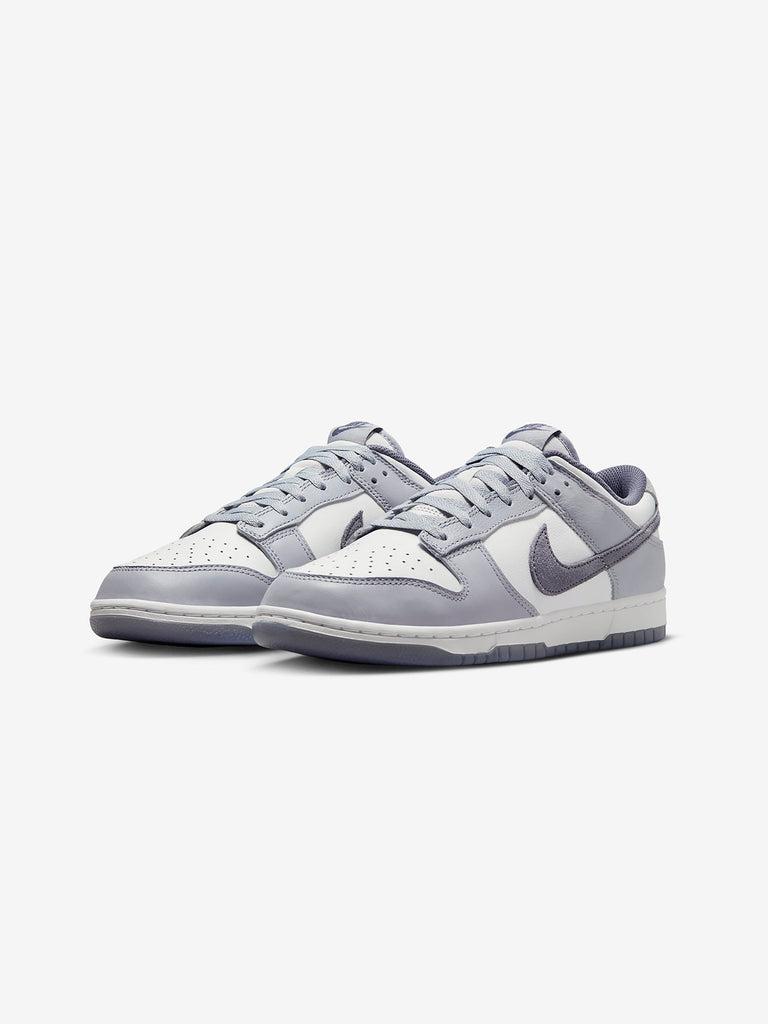 Buy Nike Nike Dunk Low Retro Premium (Lt.Carbon/Platinum Tint) Online ...